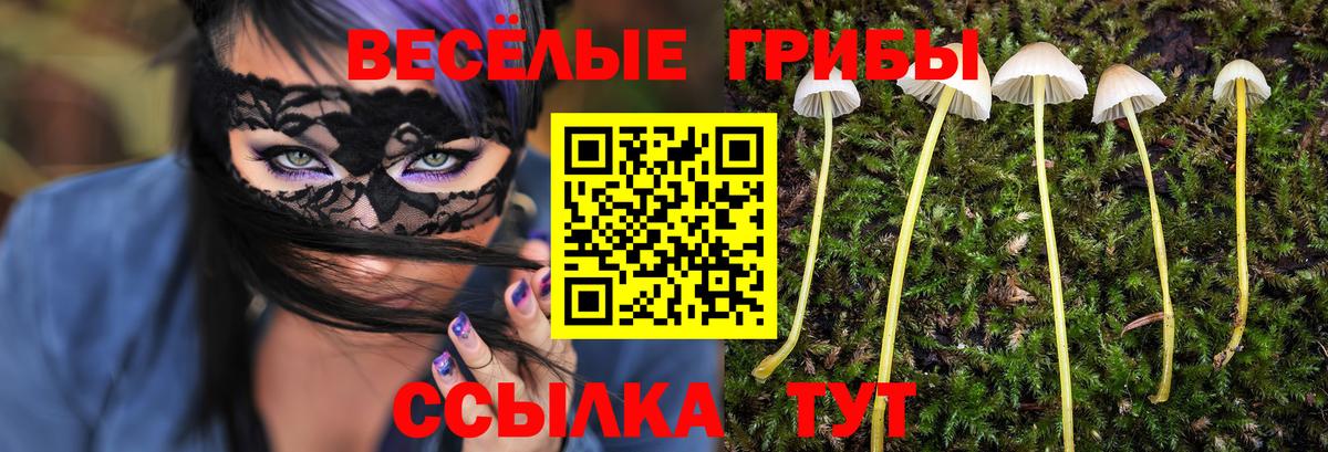 Галлюциногенные грибы Magic Shrooms Тара